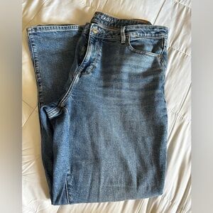 American Eagle Outfitters Classic Skinny Blue Jeans